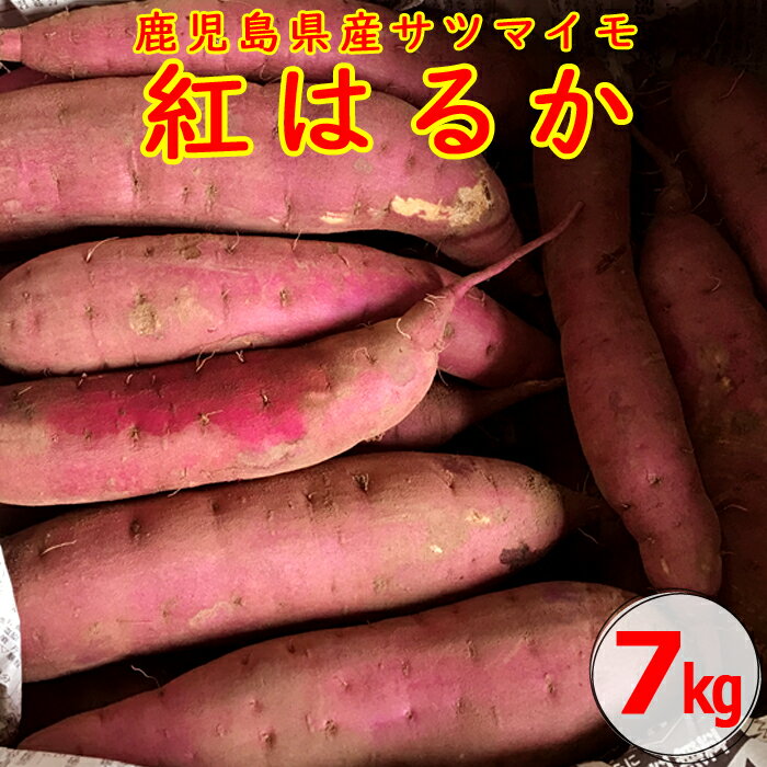 【ふるさと納税】 【2025年内発送】【訳あり】【農家直送】ママたちの想いをギュッ！薩摩で育てたさつまいも（紅はるか）洗い　規格外　7kg ふるさと納税さつま芋 サツマイモ さつまいも 芋 紅はるか 訳あり 焼き芋 規格外 不揃い 鹿児島県 薩摩川内市 送料無料