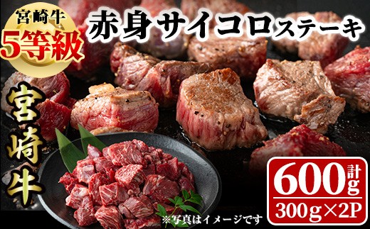 宮崎牛 5等級 赤身サイコロステーキ(計600g・300g×2P) 希少部位 BBQ 牛肉 肉 ブランド牛  冷凍 国産 精肉 お取り寄せ 黒毛和牛 宮崎県 【LJ014】【ローカルブランディング株式会社】