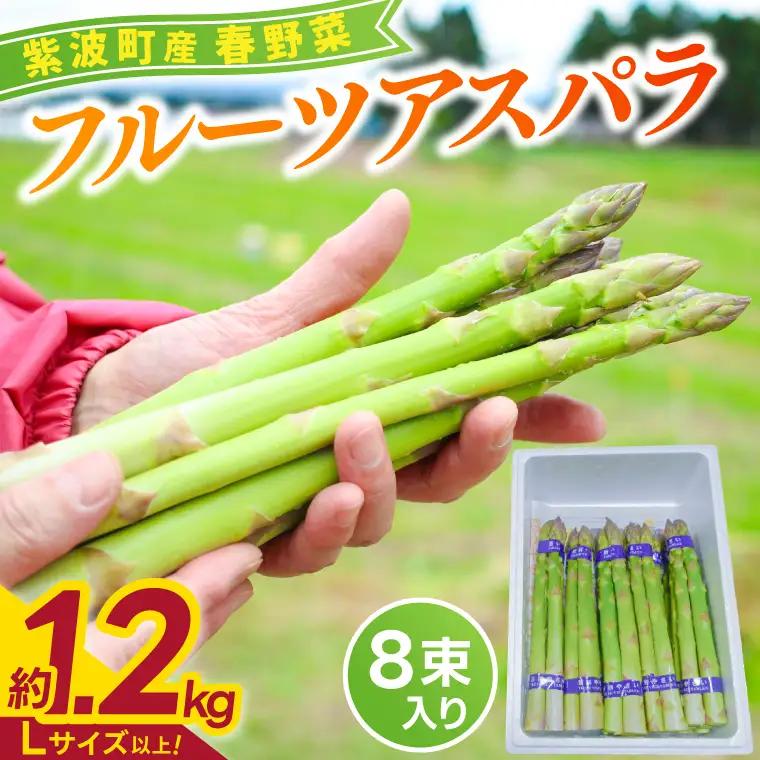 令和8年産 フルーツ アスパラ 1.2kg CS002 アスパラガス