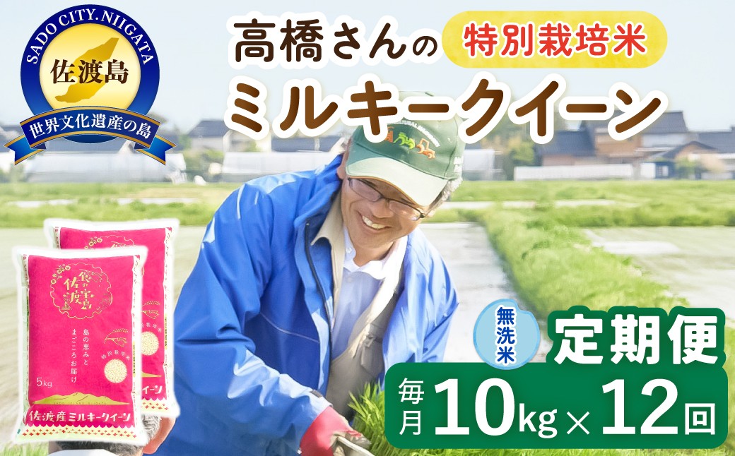 
                  【12か月定期便 ミルキークイーン】佐渡島産ミルキークイーン 無洗米 合計120kg（10kg（5kg×2袋）×毎月全12回）令和8年産 新米 特別栽培米 | 新潟県産ミルキークイーン 新潟産ミルキークイーン 佐渡産ミルキークイーン みるきーくいーん お米 米 無洗米 むせんまい 精米 ブランド米 おこめ コメ 10キロ にいがた さど 新潟県 佐渡市
                