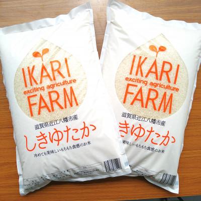 ふるさと納税 近江八幡市 【令和7年産】すっごいもちもち「しきゆたか」白米10kg(5kg×2袋)