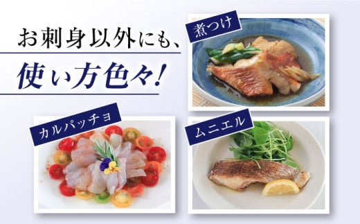 【下処理済み】 真鯛 堪能5点セット ＜大島水産種苗＞ [CBW005] 魚 刺身 ブロック 鯛 タイ たい 魚 刺身 ブロック 贈答 ギフト 冷蔵 