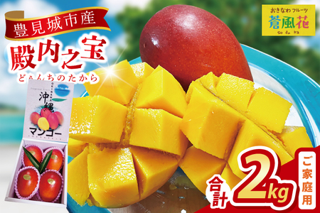 【2026年7月より順次発送】豊見城産マンゴー『殿内之宝(どぅんちのたから)』約2kg(ご家庭用) (DR006)