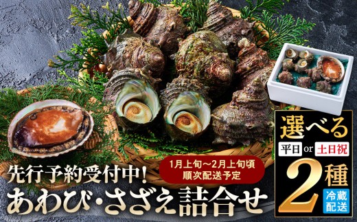 
                  ＜選べる＞＜先行予約受付中！1月上旬～2月上旬頃順次配送予定＞あわび・さざえ詰合せ(2種) 【鳥取県 境港市】
                