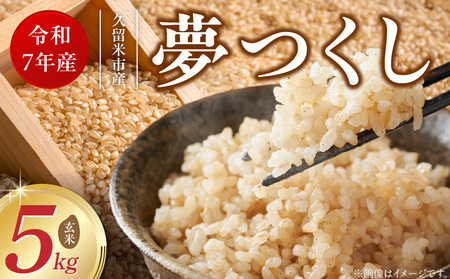 【令和7年産 新米】福岡県産ブランド米夢つくし 玄米 5kg_夢つくし 玄米 内容量 5kg 福岡県産 ブランド米 鮮度抜群 新鮮 福岡生まれ 品種 艷やか 光沢 ふっくら やわらか 食感 ご飯 おにぎり 弁当 お米 食品 お取り寄せ 九州 久留米産 福岡県 久留米市 送料無料_Gr063