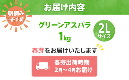 【先行予約】朝採り直送　春芽グリーンアスパラガス（2L）１.2kg　BT02