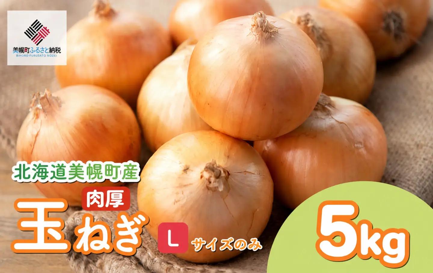 【 先行予約】玉ねぎ Lサイズ 5kg 美幌町産 (2026年10月以降順次発送) たまねぎ AF