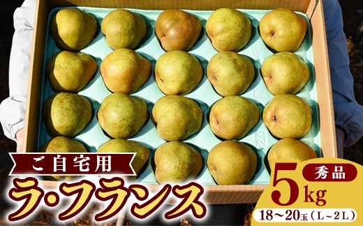 
                  《先行予約》令和8年産 洋梨 ラ・フランス 5kg（18玉 - 20玉）《ご自宅用》 L - 2L 山形県産 【2026年11月頃から12月上旬頃発送予定】　012-B-HK002
                