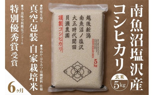 
                  新米予約【令和8年産】【定期便】「貝瀬農園米」農薬5割減栽培　南魚沼塩沢産コシヒカリ　玄米5kg×全6回【定期便 銘柄米 ブランド米 玄米 こしひかり コシヒカリ】【2026年10月上旬から1ヶ月以内に順次発送予定】
                