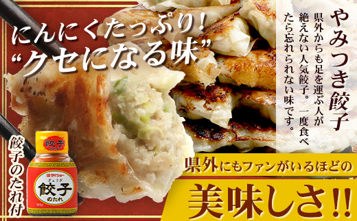 佐多の田中肉屋スペシャルパック（餃子・コロッケ・味付唐揚げ）