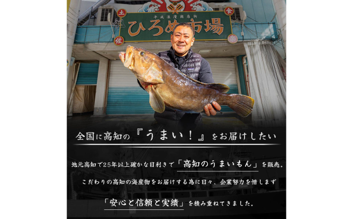 高知県産 うなぎ 長蒲焼2尾 約160g×2 (2～4人前)/ 鰻 ウナギ 土用丑の日 高知産 うなぎ 【土佐黒潮水産】 [ATCQ009]