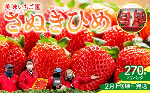 【2月上旬頃～発送】美味いちご園「さぬきひめ」さぬきひめ 270g×2パック