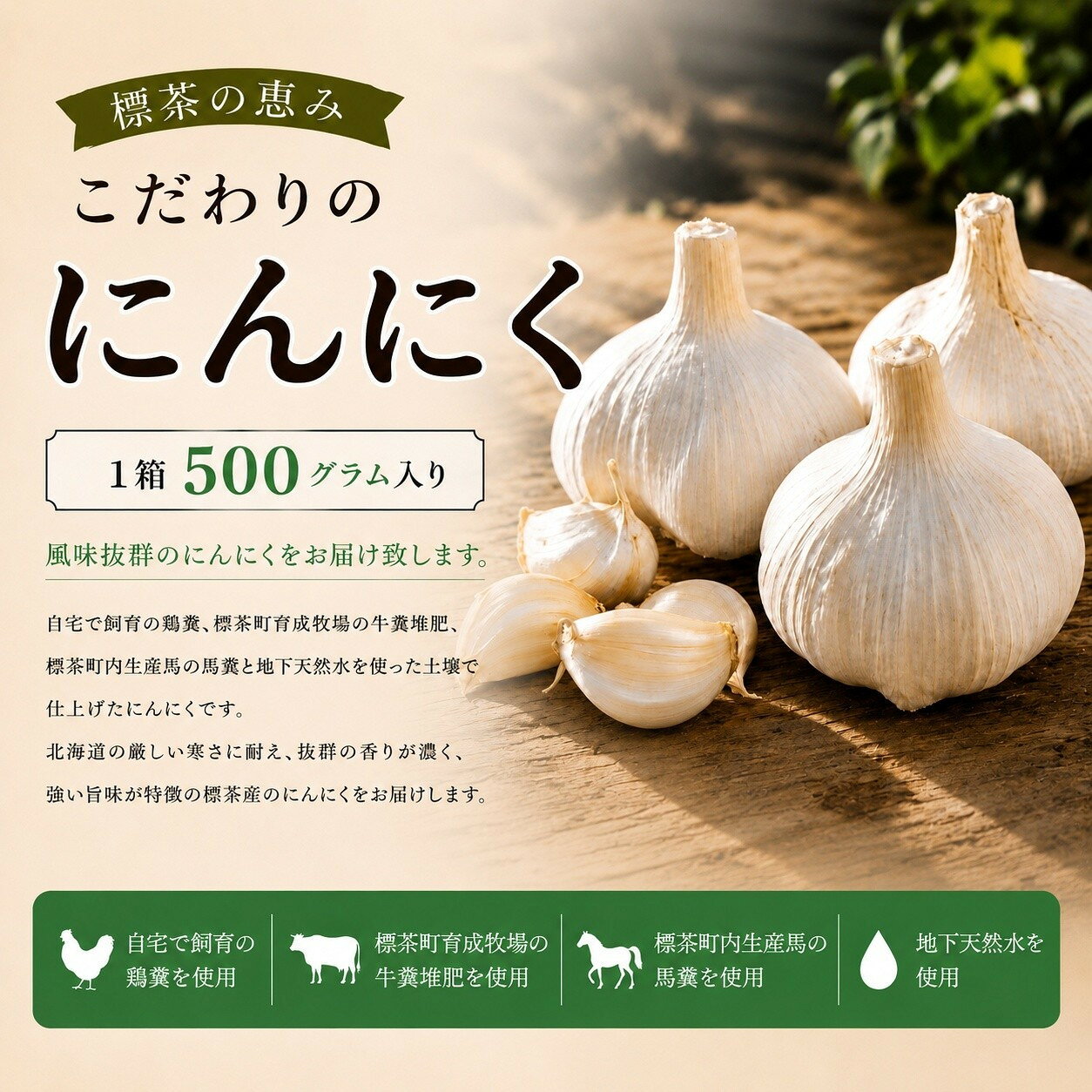 【ふるさと納税】標茶の恵み　こだわりのにんにく　1箱500グラム入り（Mサイズ約8～10個） | 標茶町 ニンニク 香り高い 野菜料理 ふるさと納税 人気 おすすめ 送料無料