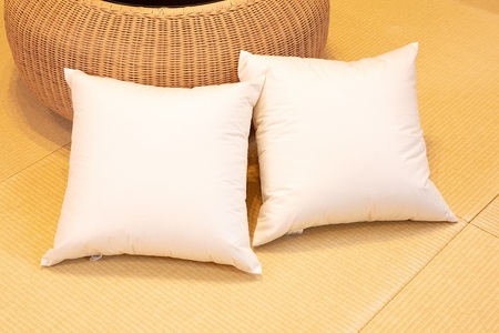 白州洗いの羽毛クッション　2個セット　ダウン50％ 50×50ｃｍ　740g