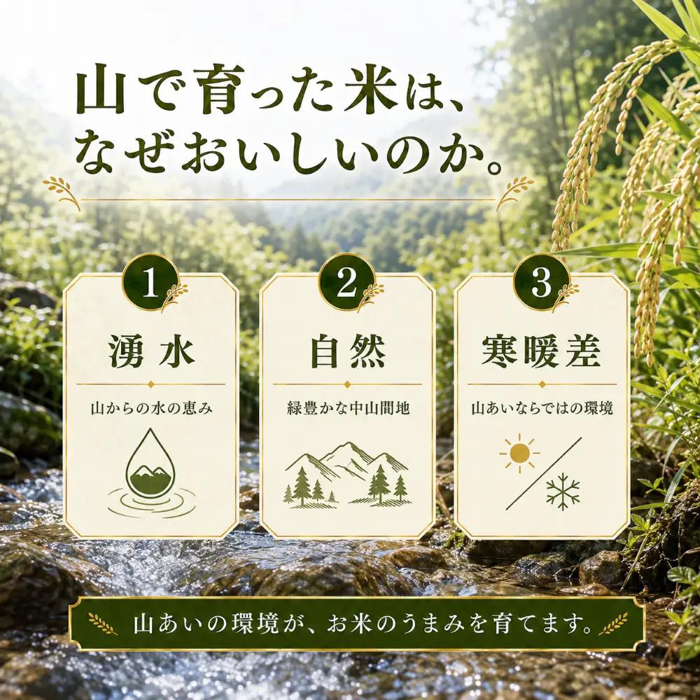 【ふるなび限定】【令和8年産 】新潟県産 農家応援米 精米 10kg 米 お米 新米 訳あり 大容量　FN-Limited-SP