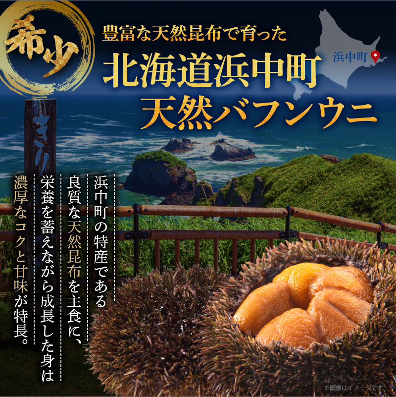 ≪氷温熟成≫生折うに(天然バフンウニ)　100g×2枚_H0009-102