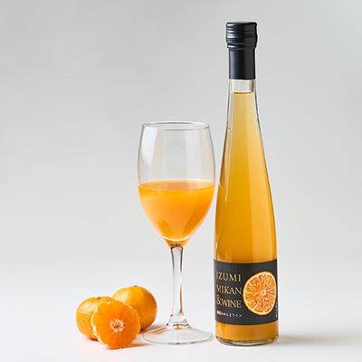 ふるさと納税 和泉市 和泉みかんとワイン2本(375ml)と山愛ドレッシング3本セット |  | 01