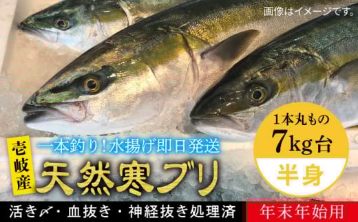【お歳暮対象】【年内発送】【お正月用】壱岐島産天然寒ブリ（一本丸ものサイズ7ｷﾛ台の半身ブロック） [JBS021]