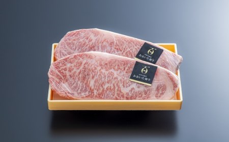 おおいた和牛 サーロインステーキ (200g×2枚) | 豊後高田市 ステーキ