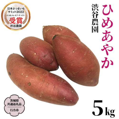 《 2026年 収穫分 》 ひめあやか 約 5kg (茨城県共通返礼品 行方市) 先行予約 渋谷農園 国産 茨城県 桜川市 さつまいも サツマイモ いも 芋 新芋 焼き芋 やきいも 野菜 旬 人気 おやつ 自宅用 家庭用 [DT007sa]