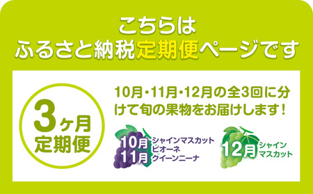特選 大粒 ぶどう 詰め合わせ定期便 3回 3ヶ月定期便 シャインマスカット ピオーネ クイーンニーナ 株式会社日本植生グループ本社 NISSHOKU FARM《10月上旬-12月末頃出荷》ブドウ 送