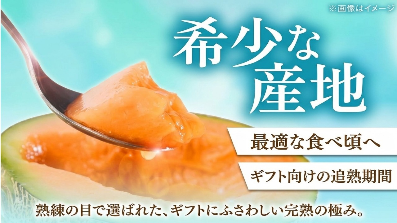 <数量・期間限定> メロン 糖度16度以上 2.0kg以上 ×2玉 4kg おいわけメロン 赤肉メロン スイーツ デザート 果物 国産 北海道 安平町 プレゼント 贈答 ギフト