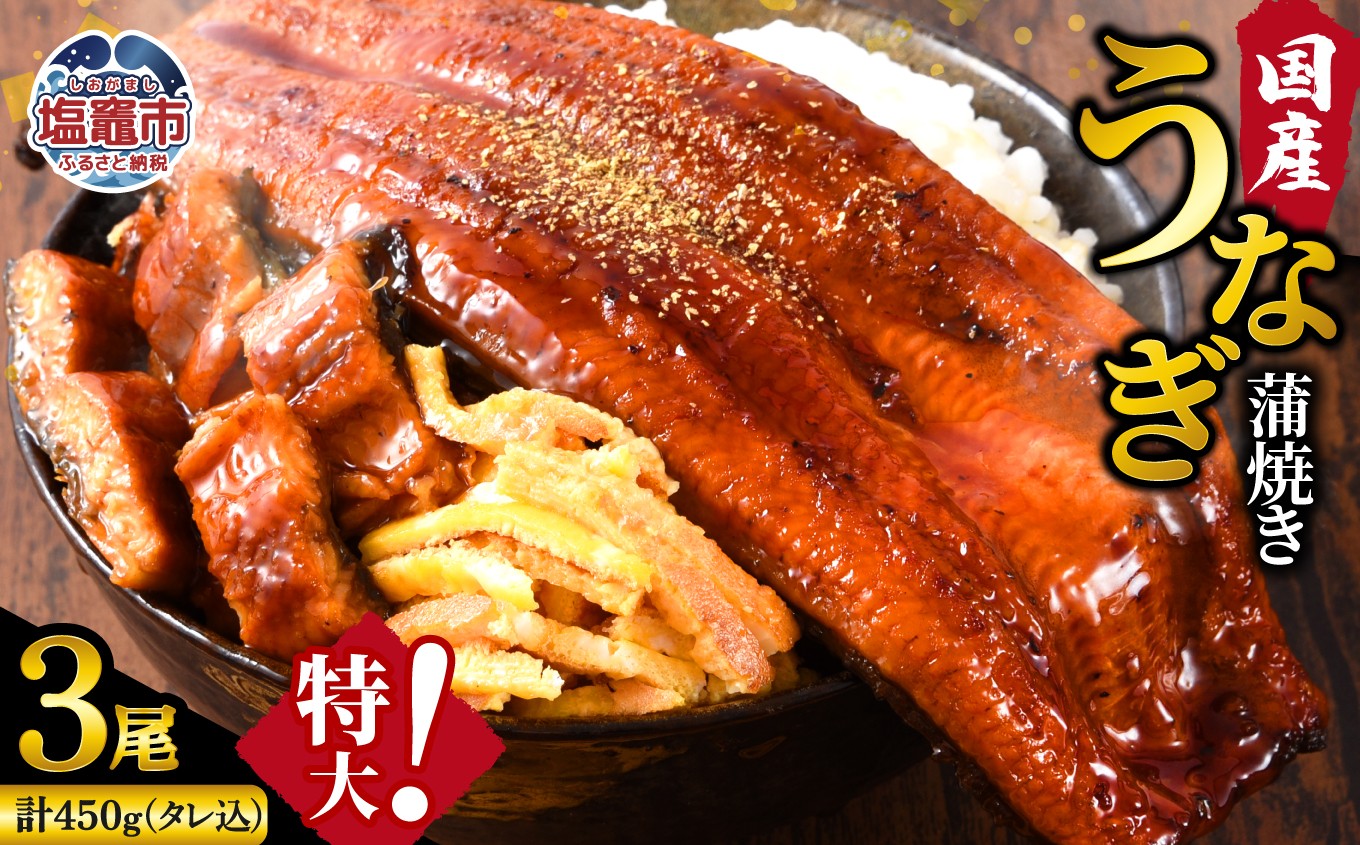 
                  ふっくら肉厚！国産うなぎ蒲焼き 3尾セット (計450g) うなぎ 蒲焼き 国産うなぎ 鰻 土用の丑の日 冷凍うなぎ 真空パック 宮城県 塩竈市 三波食品 | oya-nh00004
                