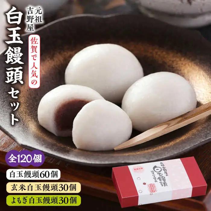 冷凍白玉饅頭詰合せ Dセット / 佐賀県 / 白玉饅頭元祖吉野屋 [41AACQ004]