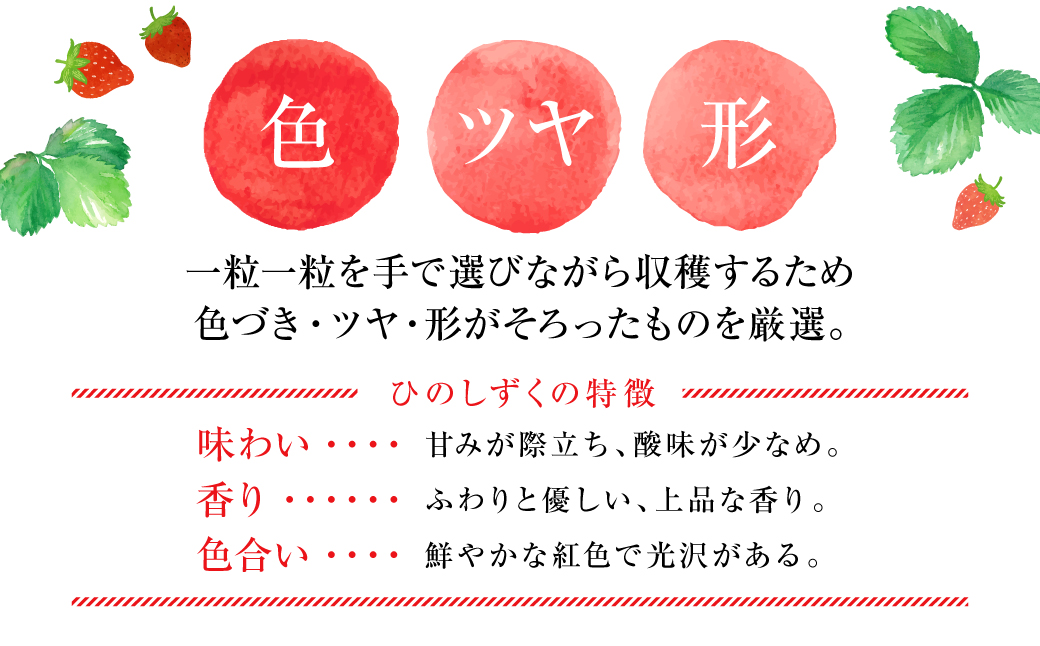 【先行予約】ひのしずく -あまいのん 新鮮 フルーツ 果物 くだもの 苺 いちご イチゴ ストロベリー 旬 熊本 八代 国産 【2026年1月下旬より順次発送】