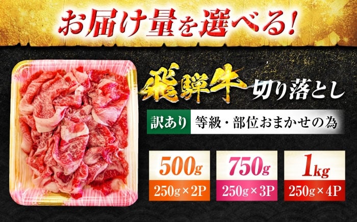 飛騨牛 切り落とし 牛肉 飛騨牛 切り落とし きりおとし 切りおとし 肉 和牛