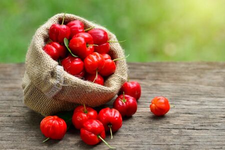 AD004　アセロラ100 ストレート100%ジュース(500ml×24本)