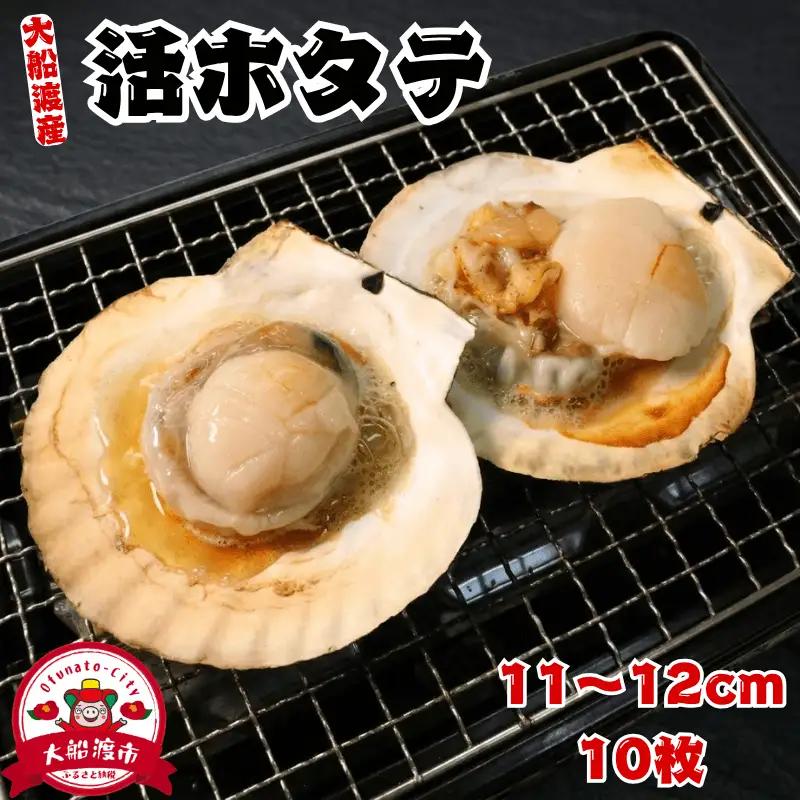 活ホタテ 10枚 (11cm~12cm)