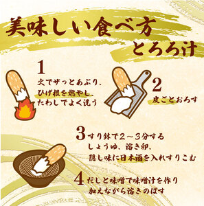 【予約受付】 自然薯 500g じねんじょ 山芋 ヤマイモ 山いも とろろ とろろ汁 国産 滋養強壮 強壮 とろろご飯 ご飯のお供 美味しい おいしい 自宅用 家庭用 贈答用 贈答 贈り物 ギフト や