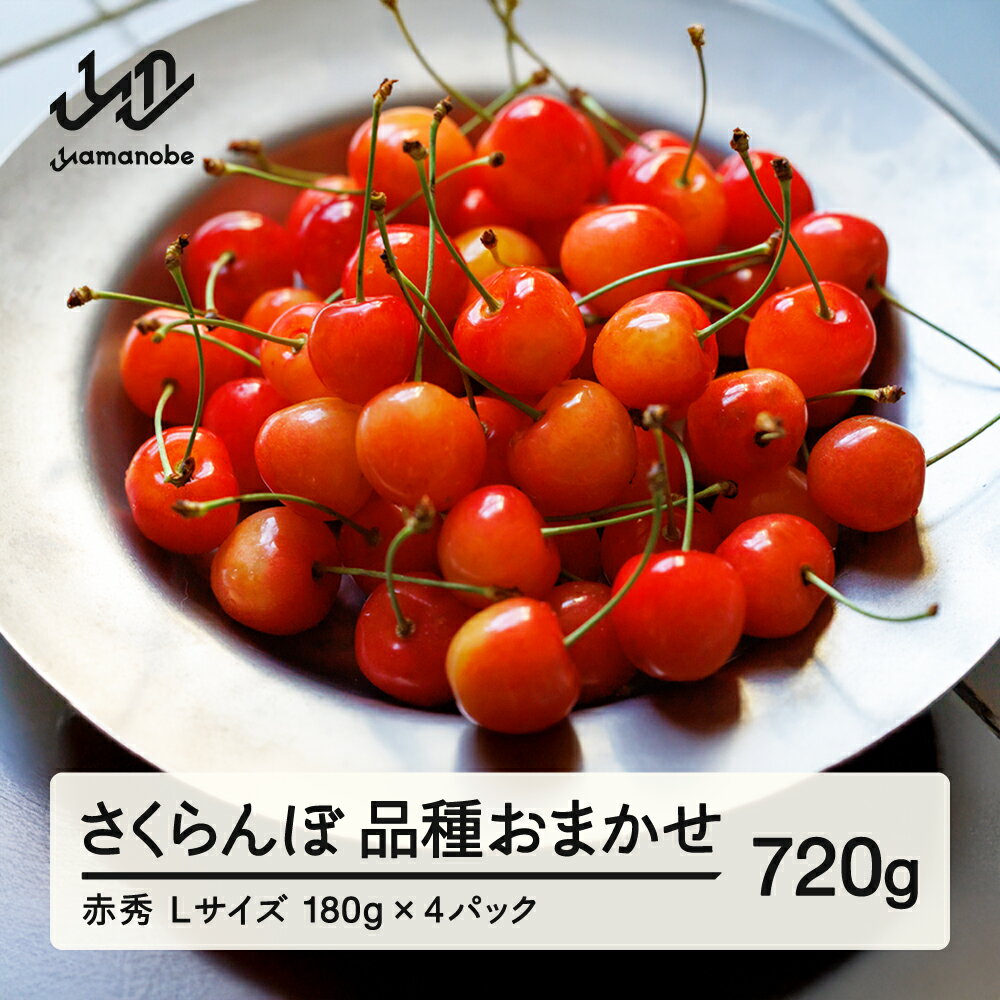 【ふるさと納税】 先行予約 さくらんぼ 品種おまかせ 赤秀品 L玉 180g×4パック ご家庭用 2026年産 令和8年産 山形県産 送料無料 mm-saoal720