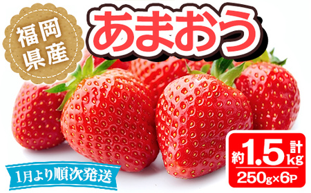 ＜先行予約受付中！2027年1月中旬～3月末に順次発送予定＞福岡県産 あまおう(計約1.5kg・250g×6P)いちご 苺 フルーツ 果物 くだもの 冷蔵 ＜離島配送不可＞【ksg1806】【エフビーネット】