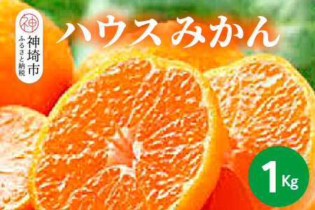 【2025年6月上旬より発送開始】ハウスみかん 1kg【みかん 冷凍みかん 柑橘 フルーツ デザート】(H116138)
