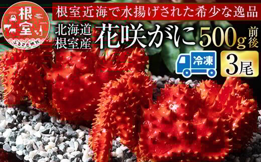 A-54013 【北海道根室産】花咲がに500g前後×3尾(計1.5kg)
