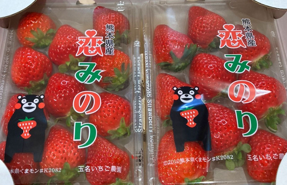 
                  熊本県産 いちご （恋みのり）4パック 約1000g 苺 恋みのり こいみのり【2027年1月上旬発送開始】
                