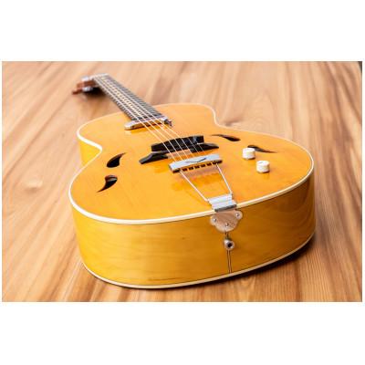 ふるさと納税 美濃加茂市 【エレクトリック・アコースティックギター】K.Yairi VINCENT VM-5 Swing |  | 01