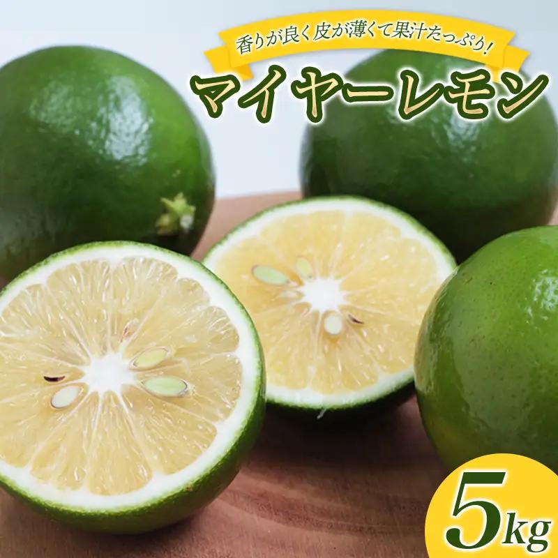 レモン マイヤーレモン はぎファーム 5kg【hgf002A】