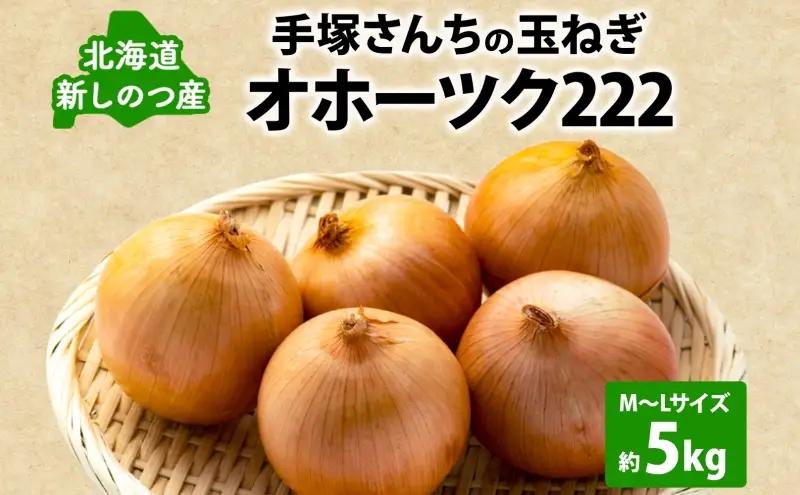 玉ねぎ手塚さんちのたまねぎ新しのつ産北海道産玉ねぎ【M～Lサイズ約5kg】【送料無料】