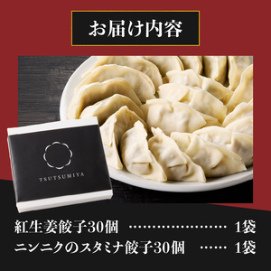 紅生姜餃子 スタミナ餃子 各30個(計60個) セット ギョーザ 創作餃子 野菜 ニンニク おかず おつまみ 食べ比べ 特製 中華 食品 冷凍発送 富士市 [sf001-222]