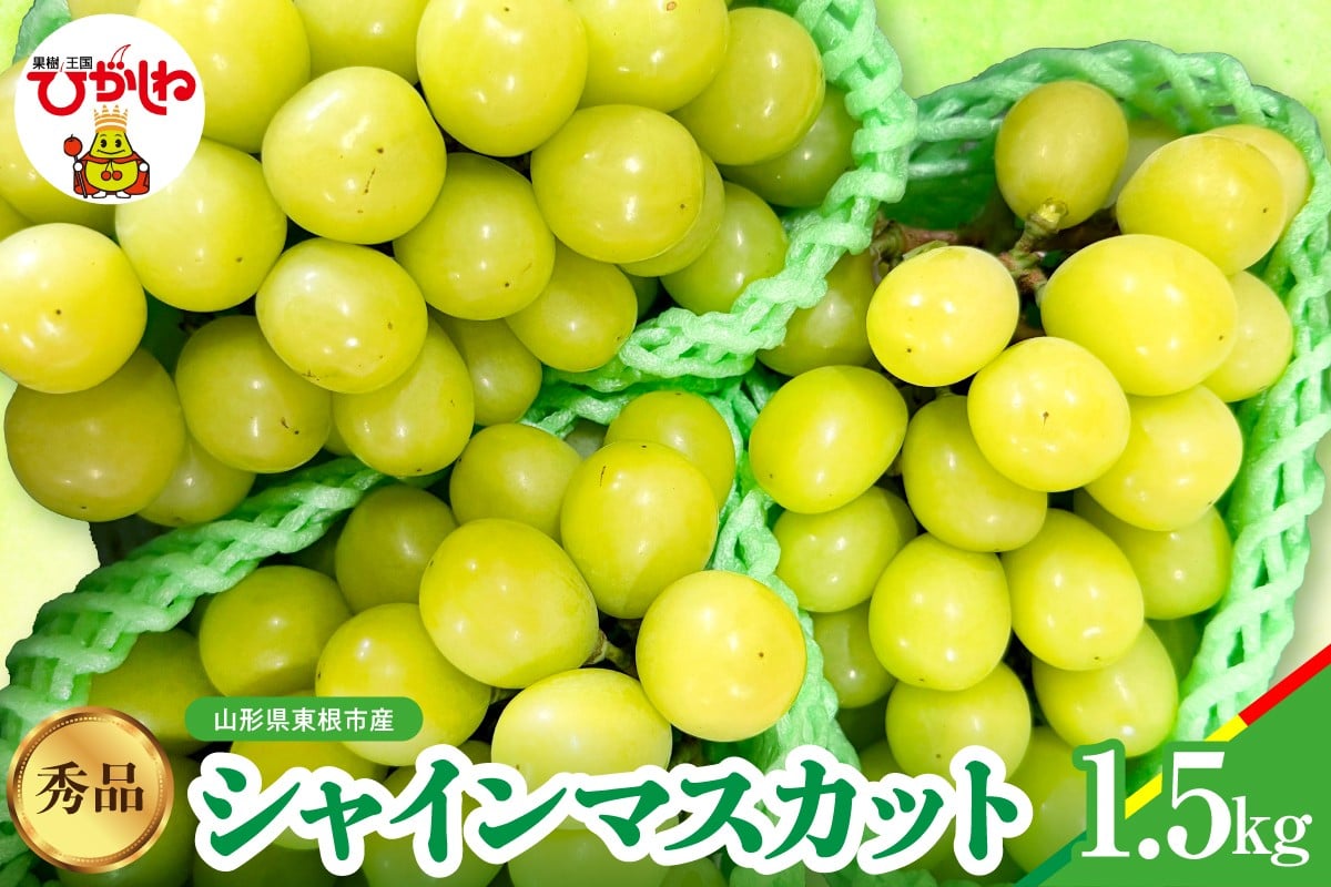 
            【2026年産】シャインマスカット 秀品 1.5kg 山形県 東根市 松栗提供 hi062-065
          