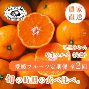【発送月固定定期便】「時期による味の違いを楽しむ」愛媛みかんの旬を食べ比べ【F70-81】全2回【4067806】