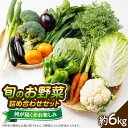 【ふるさと納税】【旬のお野菜詰め合わせセット6kg】濱くんちのお野菜から旬のお野菜が届くお楽しみBOX【配送不可地域：離島】【1475189】