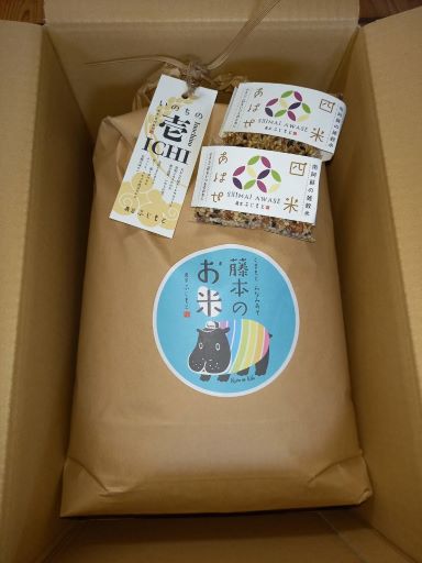 【数量限定！農家から直接お届け】令和7年産特別栽培米 いのちの壱(白米)10kg×1