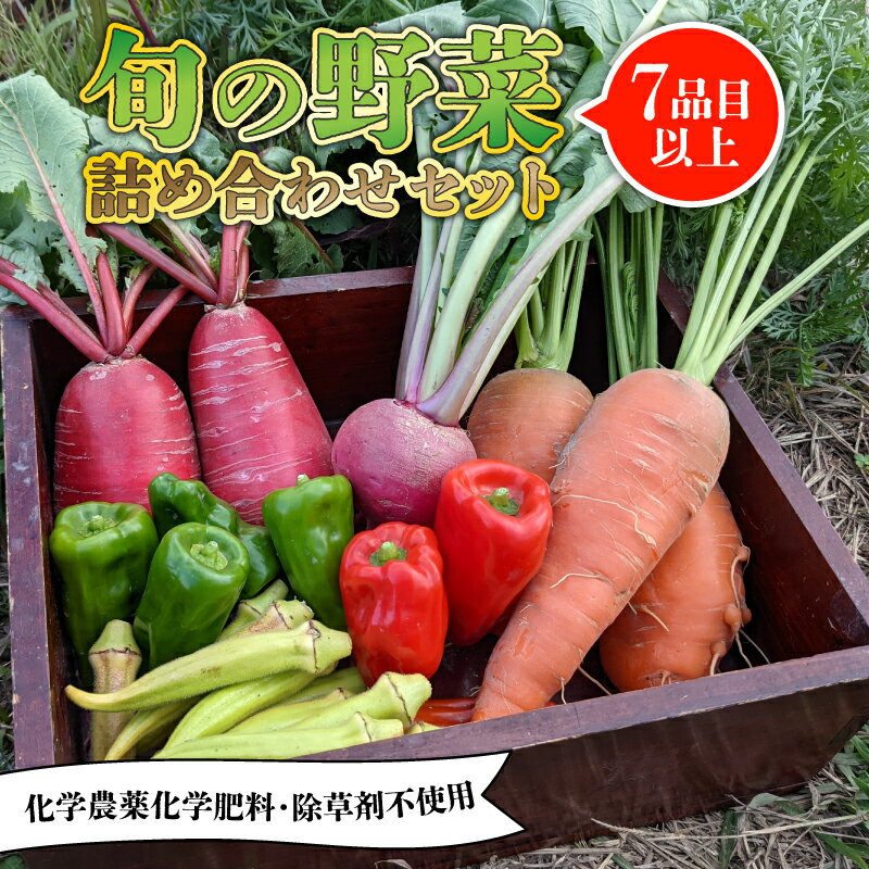 【ふるさと納税】 【先行受付】 旬のお野菜セット 詰め合わせ （7〜10品目） 旬 野菜 国産 こだわり 京都府産 京丹波町産 季節 セット 有機肥料 化学農薬不使用 化学肥料不使用 除草剤不使用 おいしい おすすめ 一人暮らし