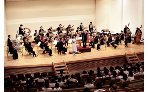
            【返礼品なし】公益財団法人日本交響楽振興財団への応援寄附 ホームタウンちよだ応援 
          