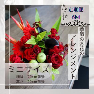 ふるさと納税 筑西市 【毎月定期便】季節のお花のアレンジメント/ミニサイズ〜届いてそのまま飾れるフラワーアレンジ全6回