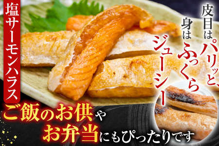 お刺身トラウトサーモン1.5kg＆塩サーモンハラス1.1kg B-09027